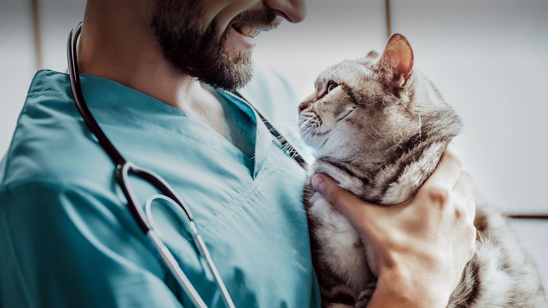 Şehzadeler Veteriner